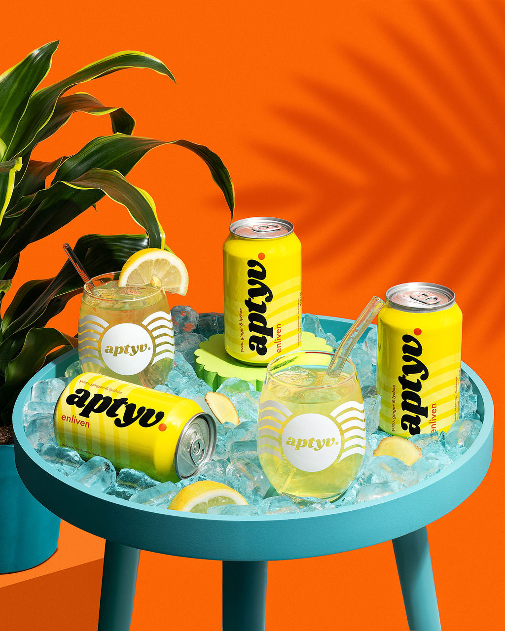 Lion's Mane mushroom ingredient in Aptyv Enliven functional drink